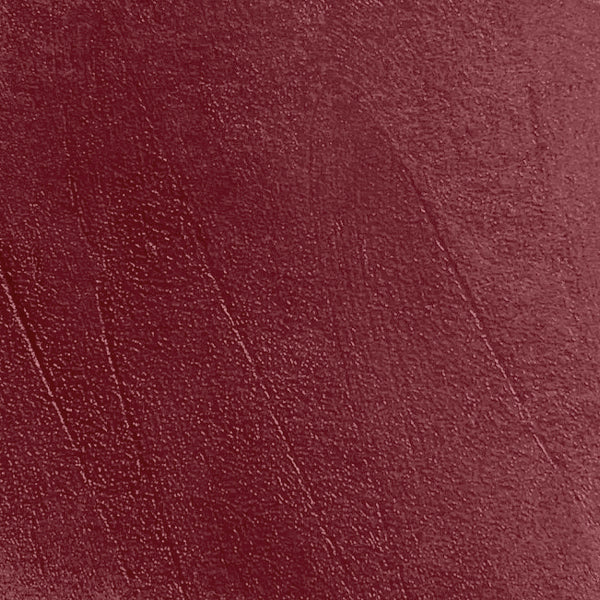 The LOVE Lip Plump Gloss