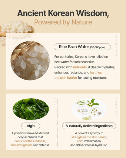 The (VIRAL) Rice Dough Face Mask