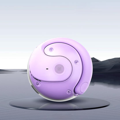 The 75 Languages AI Earbuds