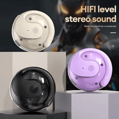The 75 Languages AI Earbuds