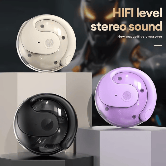 The 75 Languages AI Earbuds