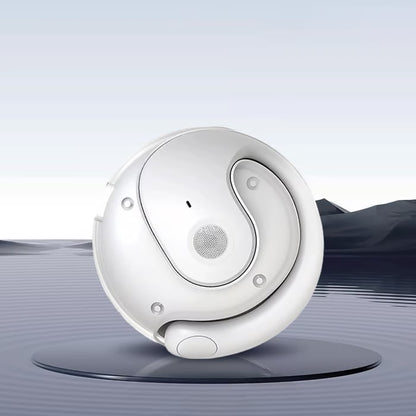 The 75 Languages AI Earbuds
